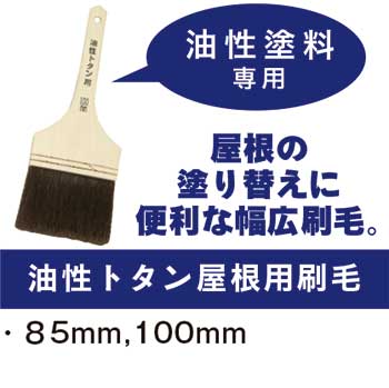 ペイントリノベーションシリーズ 生まれ変わる屋根 ペイントリノベーションシリーズ 生まれ変わる屋根