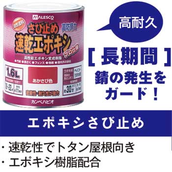 ペイントリノベーションシリーズ 生まれ変わる屋根 ペイントリノベーションシリーズ 生まれ変わる屋根